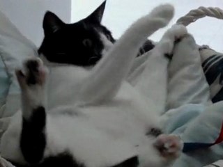 La Patatine pète un plomb !