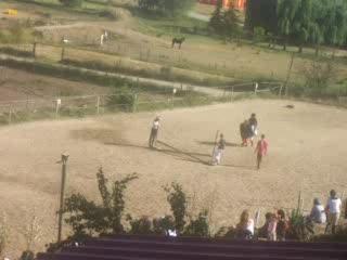Club équitation 035