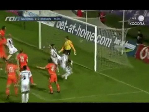 ziani bougherra hadj aissa belhadj halliche meghni saifi