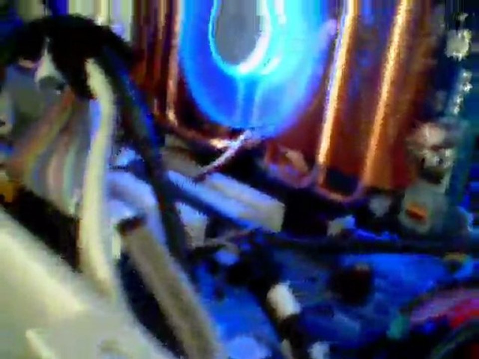 Skeleton Mod Zalman Blue