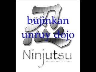 bujinkan unruy dojo