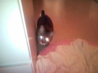 un deux trois soleil!