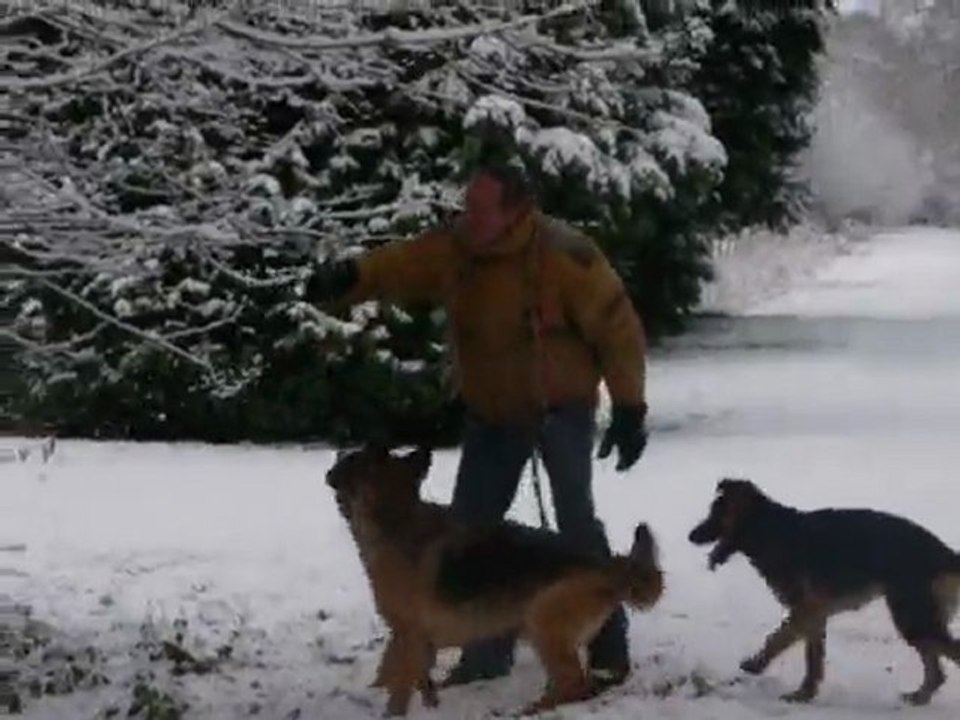 Neige 2 Janvier 2010 avec nos belles
