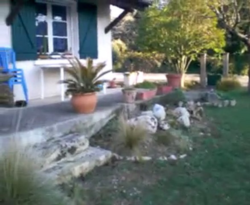 MOLLY & GYPSIE AU JARDIN