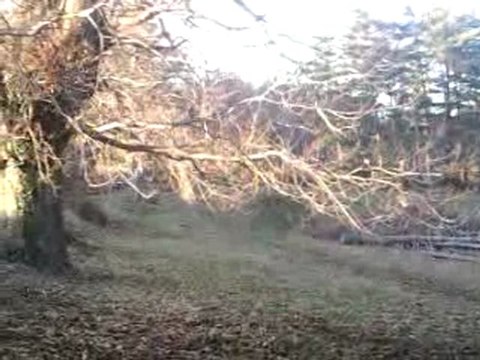 essais kart cross 602 le 31/12/2009