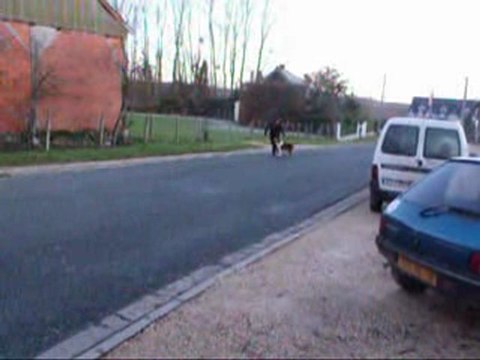 Déli trotte le 1er janvier 2010