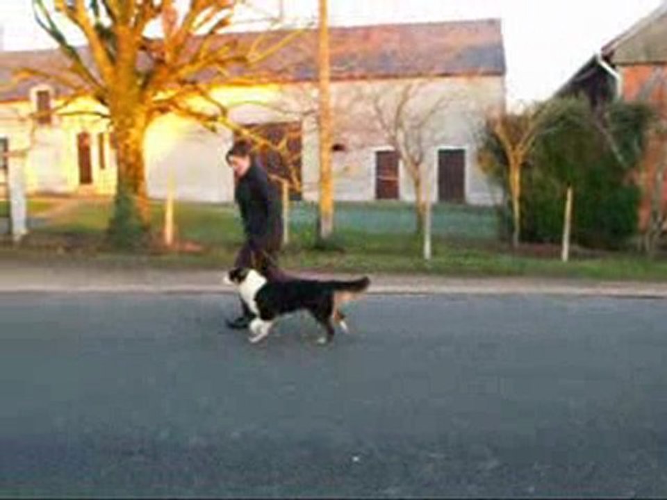 Nity trotte le 1er janvier 2010