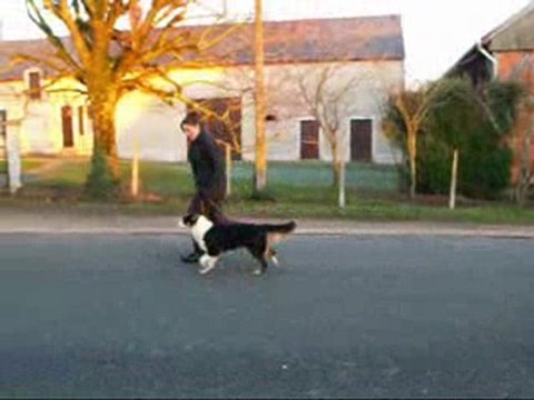 Nity trotte le 1er janvier 2010