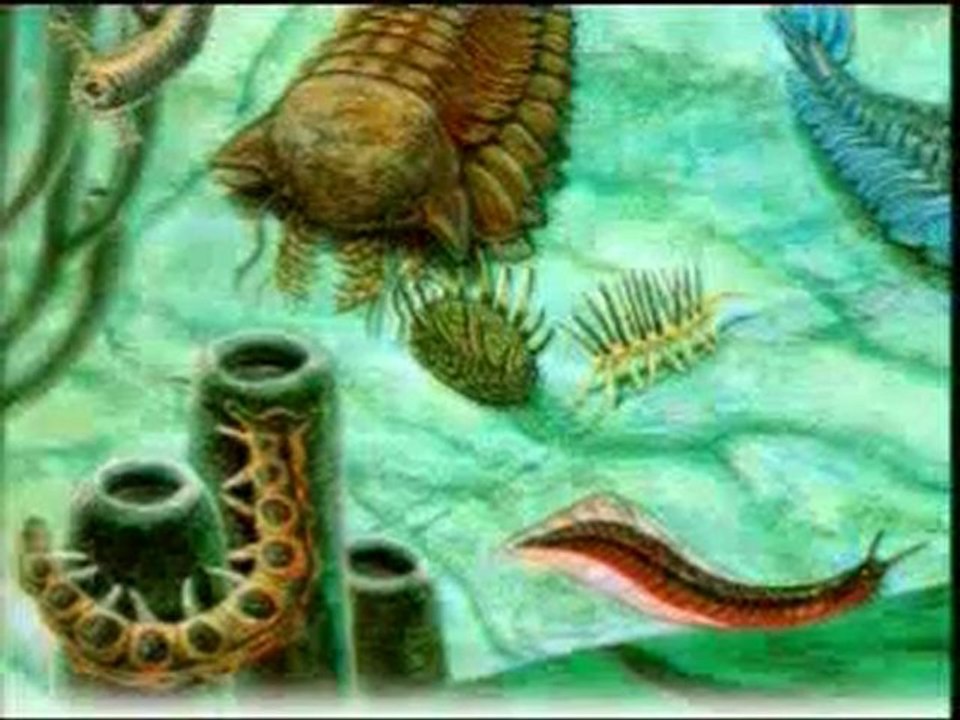 LA CHUTE DU DARWINISME ET LA CREATION N°6