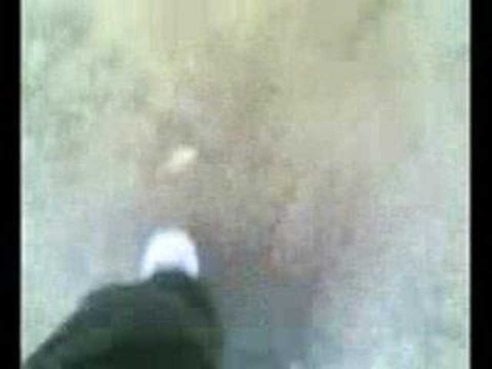 Timeline Movie