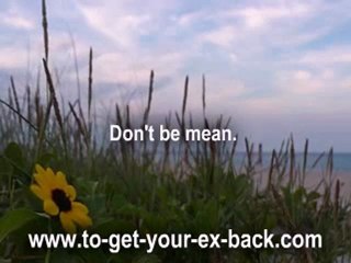 What Things Should I Do To Get My Ex Back