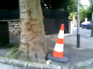 VLC qui fait ses besoins