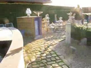 dagje shinto japanse koi