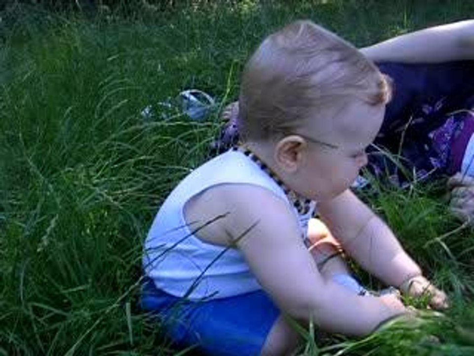 Dans l'herbe verte