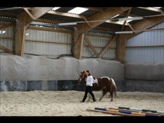 Reve - Courte séance au suivi