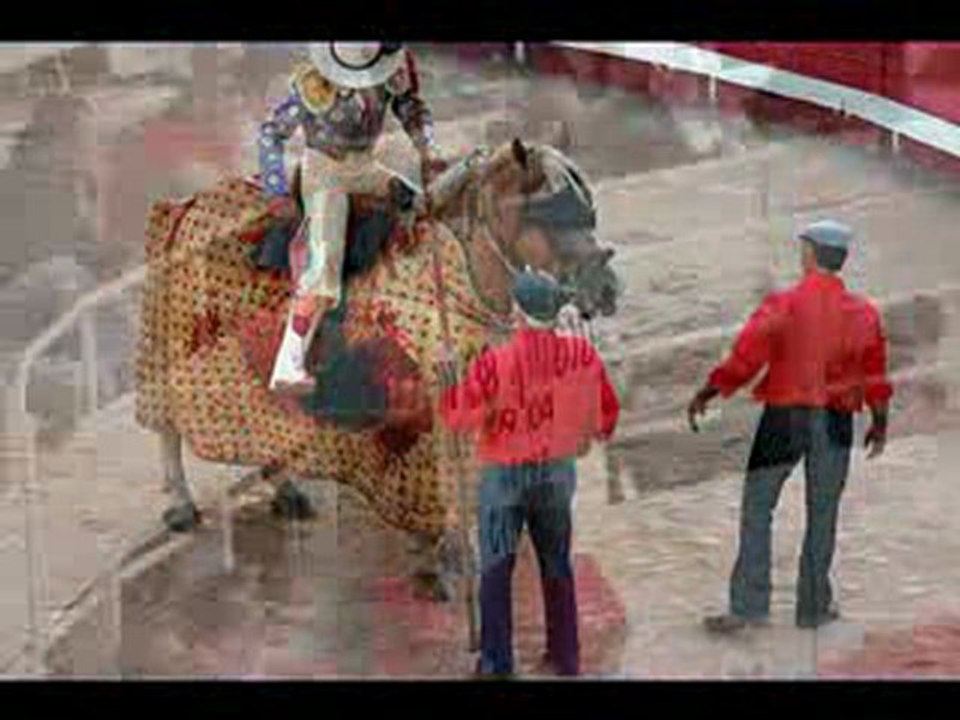 2009-09-11 corrida concours arles