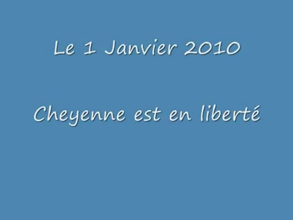 cheyenne folle_0001