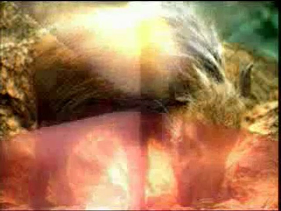 LA CHUTE DU DARWINISME ET LA CREATION N°8