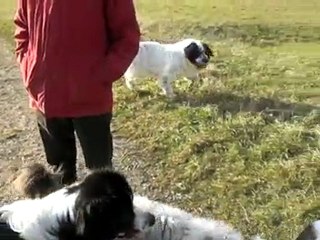 Tobie et les copains