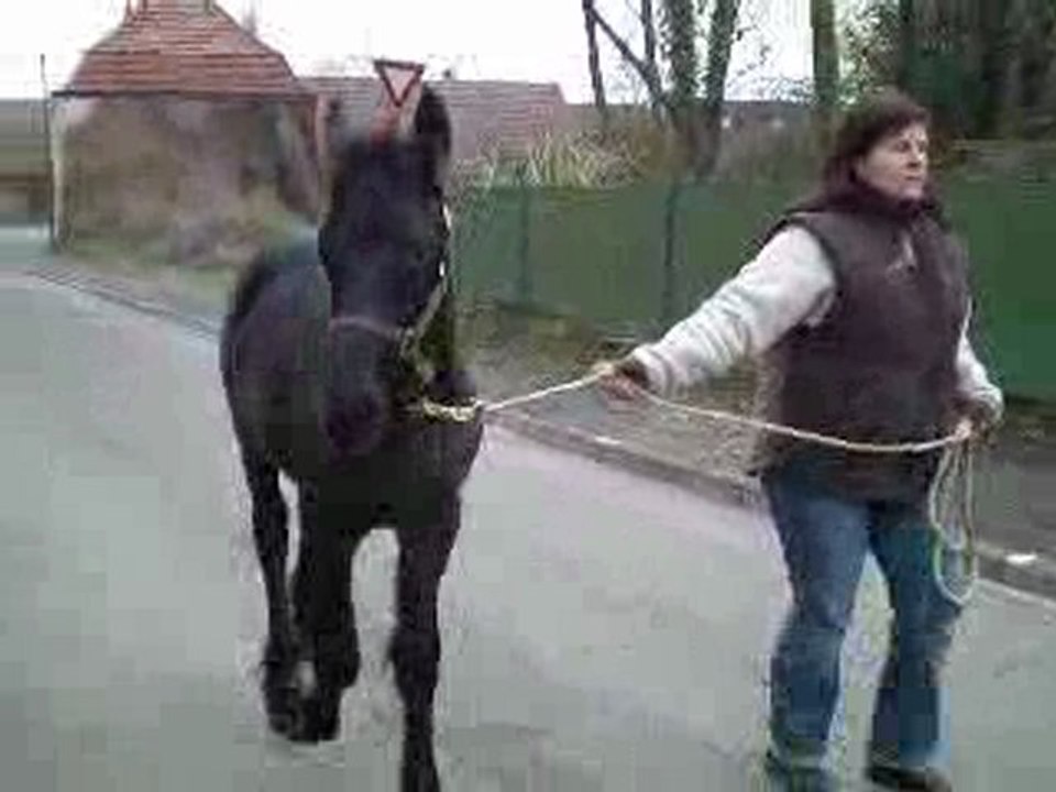 Mais Qui promene Qui ??