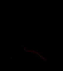 le cri du fifou....!!!