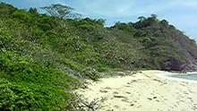 La Playa India
