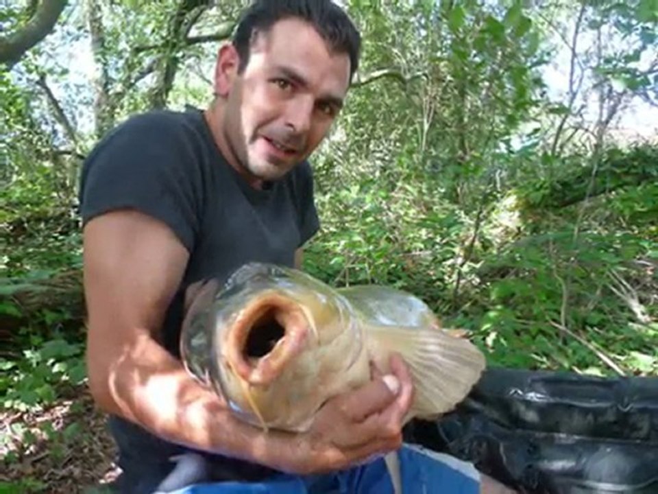 Diaporama 2009, la pêche à la carpe