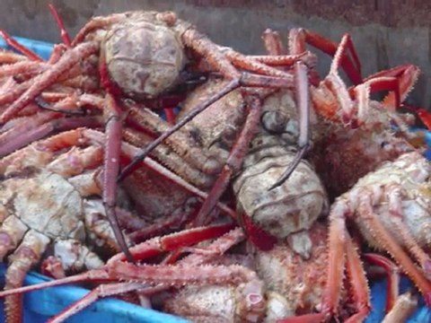 voyage Neos 1 - travel catamaran Neos part 1