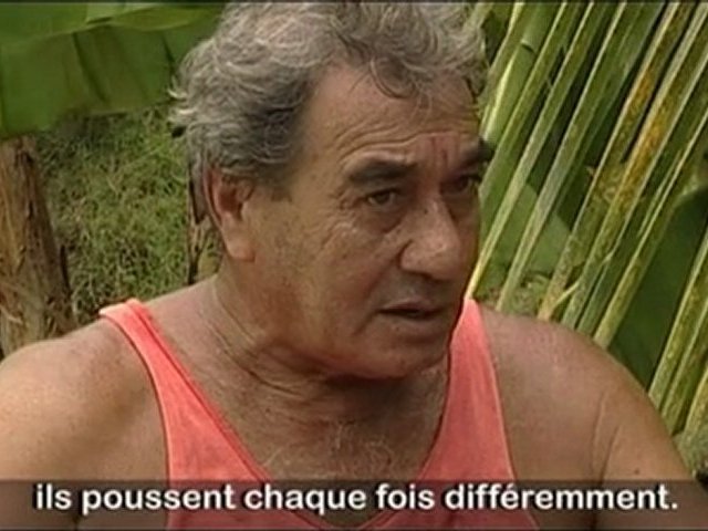 tahititv