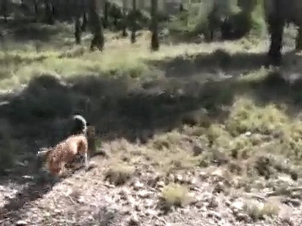 30 décembre 2009...