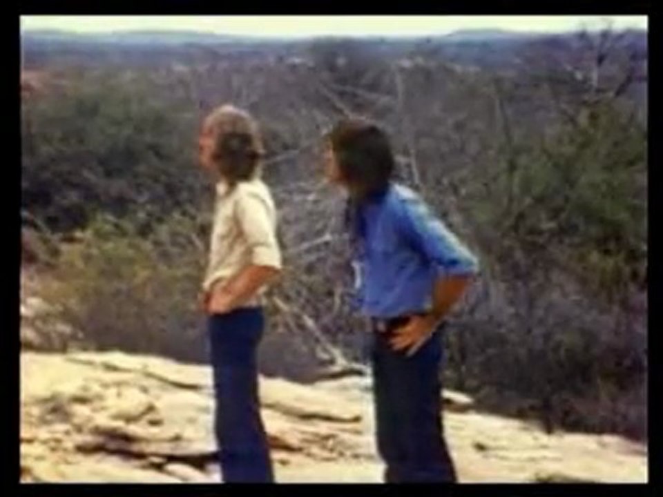 lion - retrouvailles