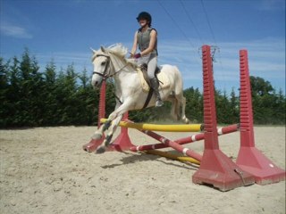 Les chevaux qui ont marqué ma vie