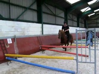 mise en selle obstacle bapaat