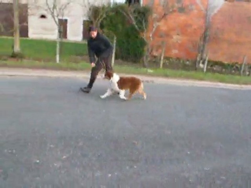 Déli allures 2/01/2010