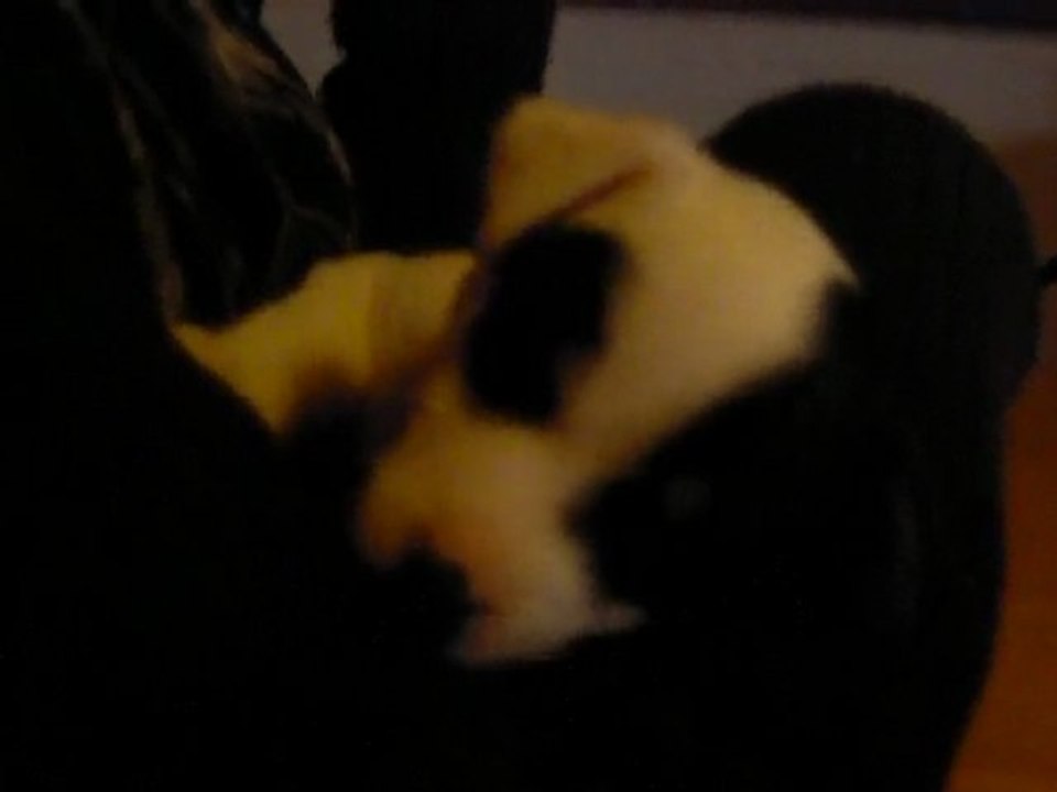elle me tete ! ^^