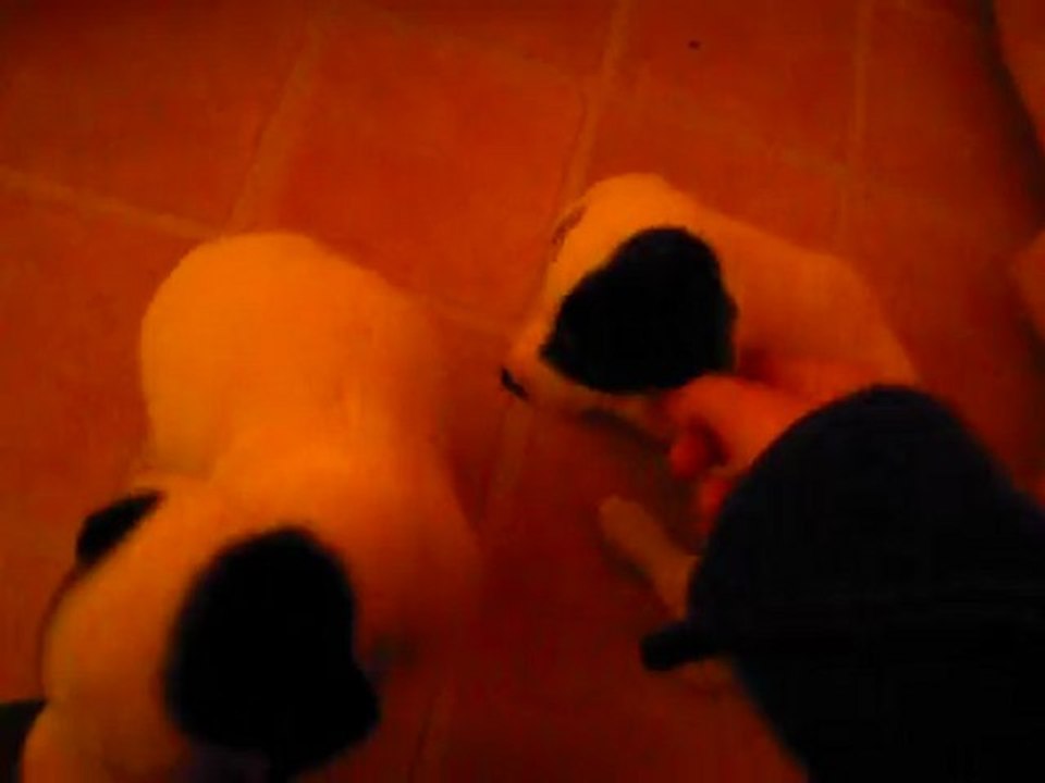 les 2 pitite soeur !