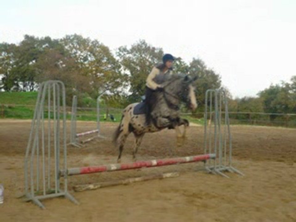 stage CSO  aux ecuries de coutigny