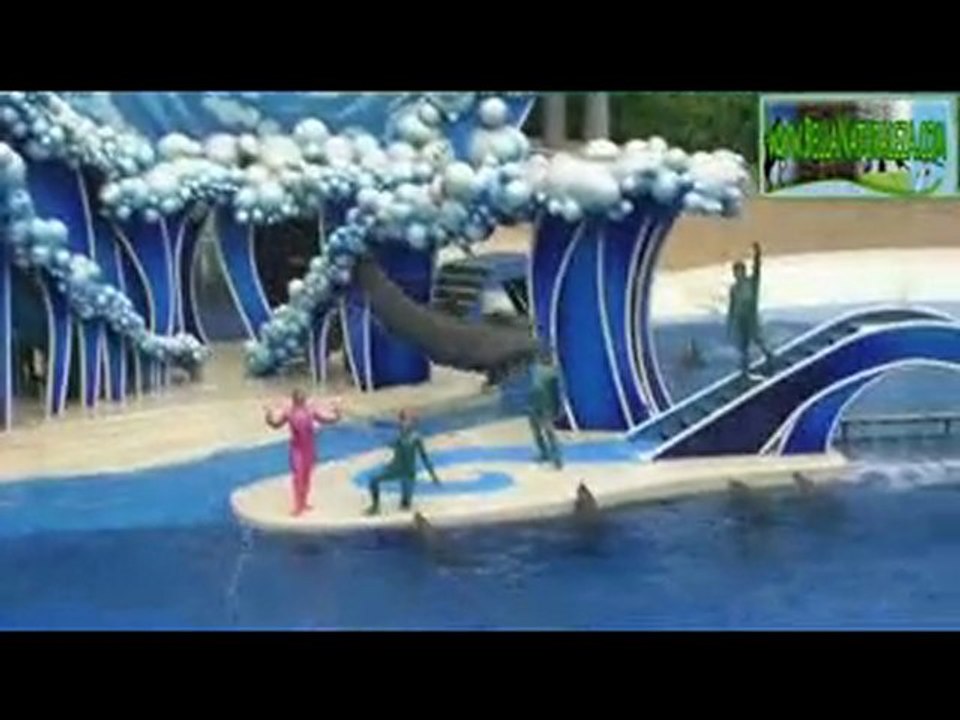Dolphins