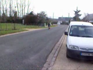 Déli allures 2 janvier 2010