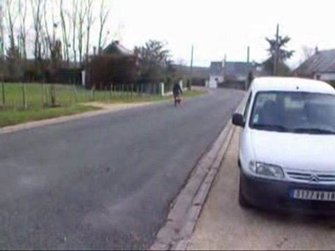 Déli allures 2 janvier 2010