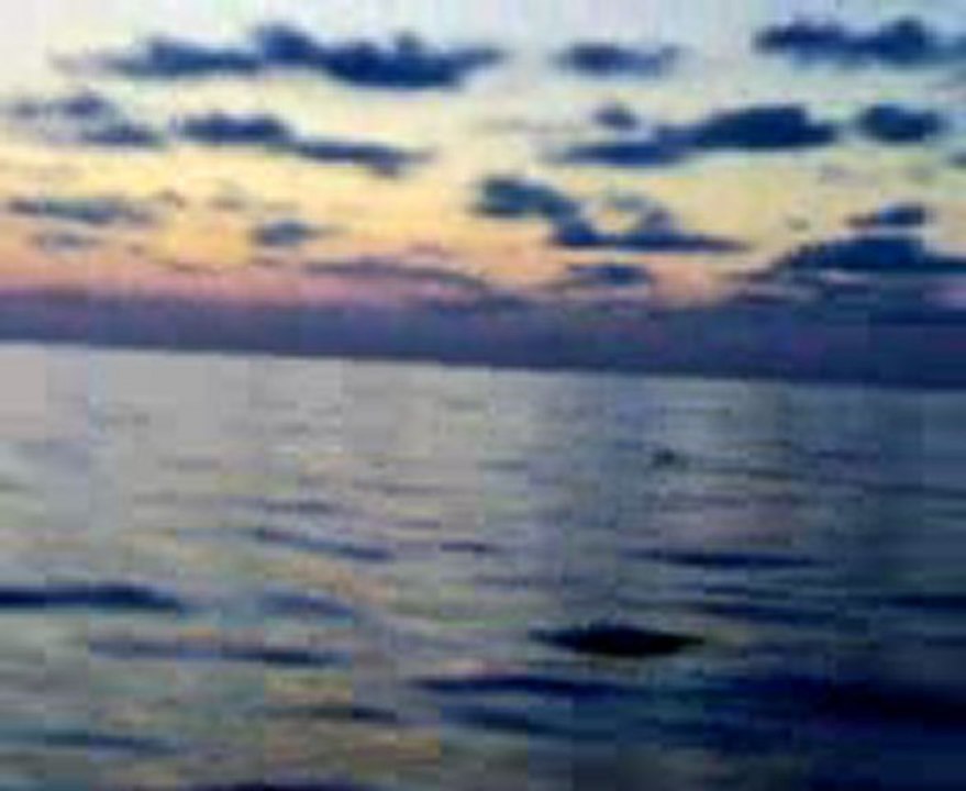 sea