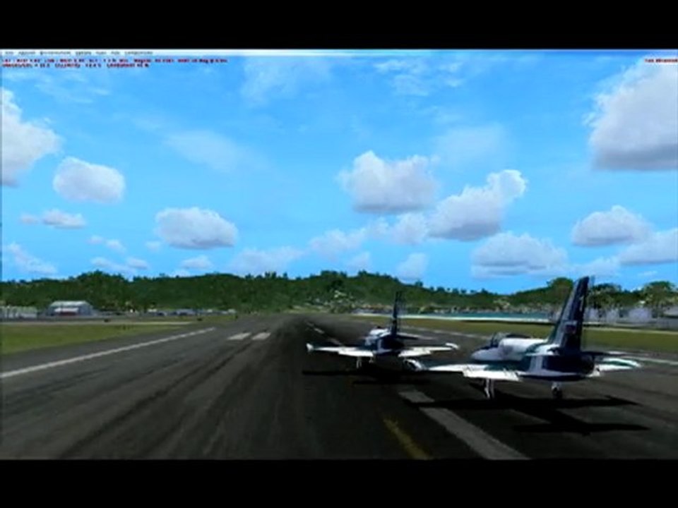 ALEXANDRE ET GUILLAUME