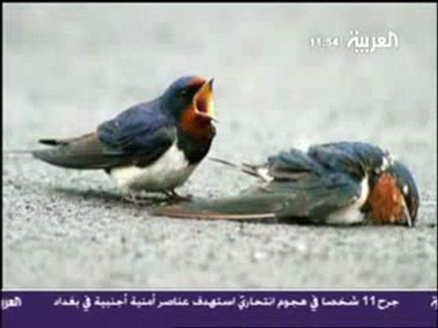 VidoEmo - Emotional Video Unity - Vidéo Dailymotion