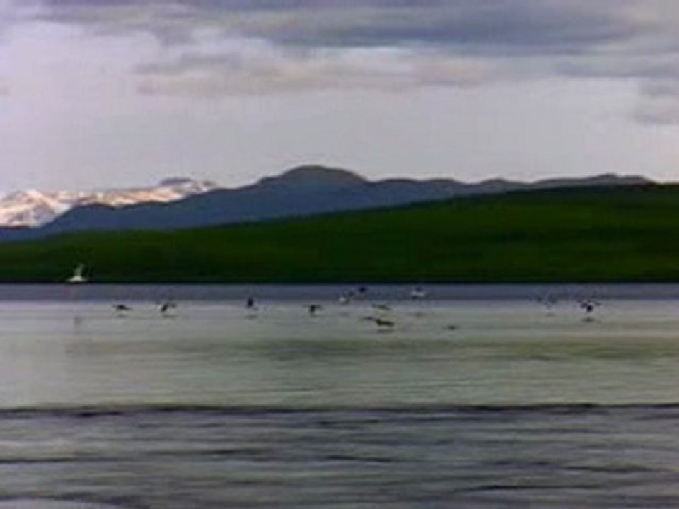 LAGO