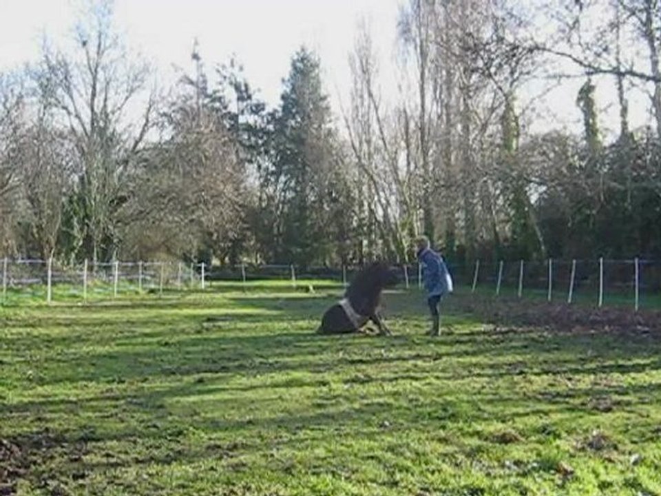 Jeux avec le Poy après 5mois