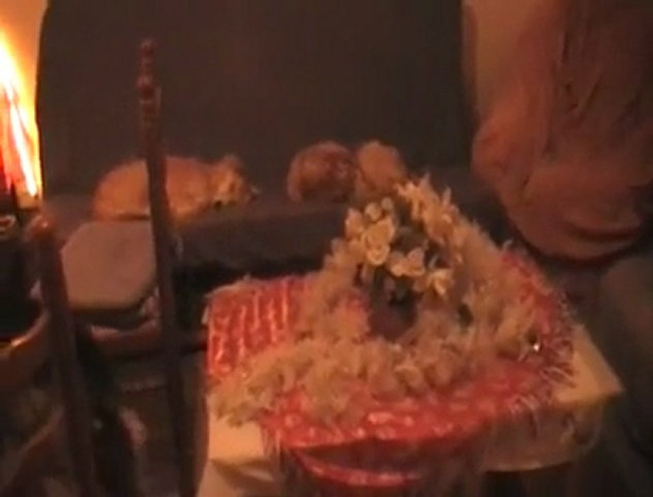 nanook et mozart 2