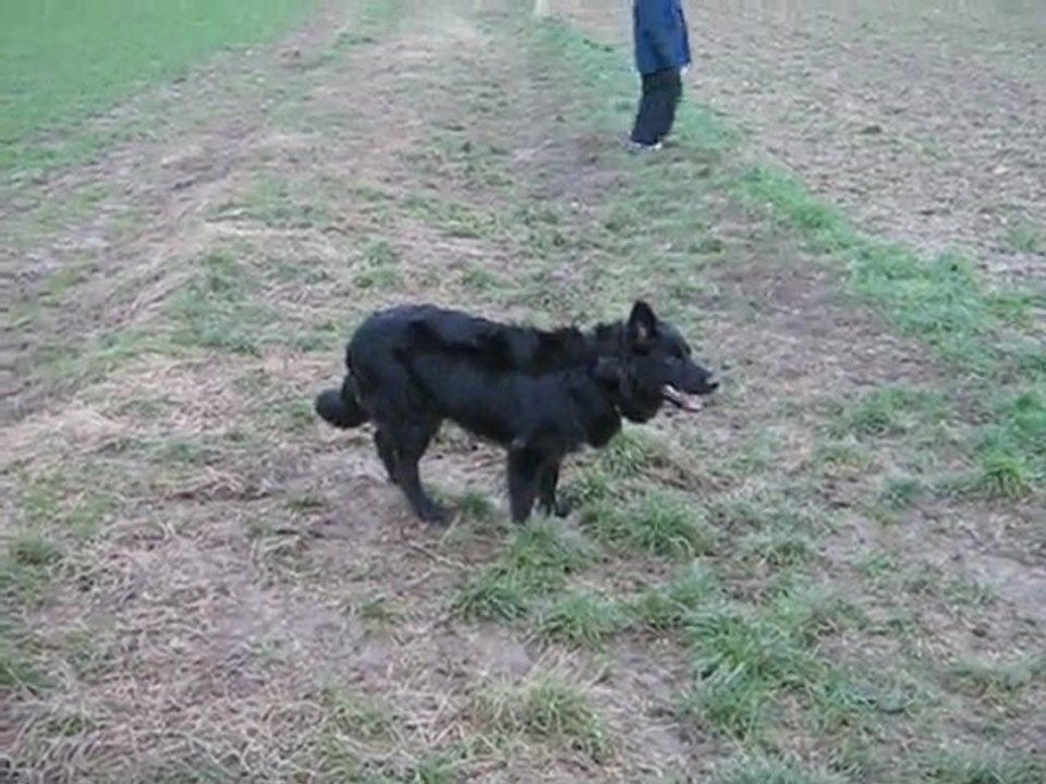 Vidéo de mon zozo 1