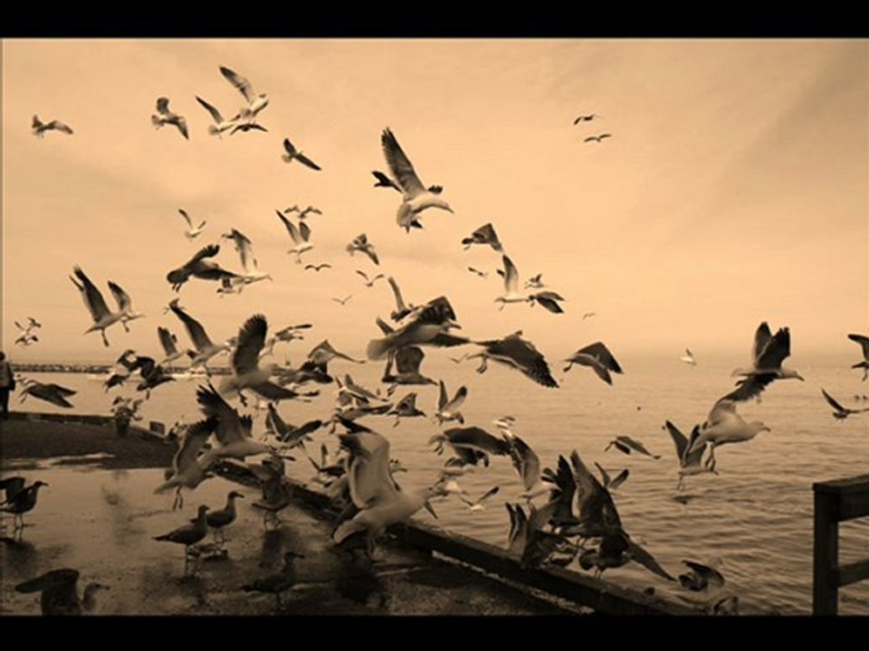 Ibrahim Sadri - Özledim