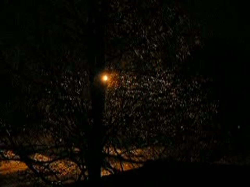 Rain before the snow