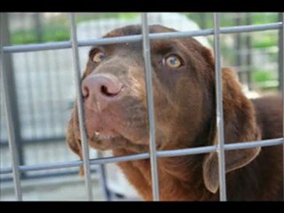 Right here waiting for you